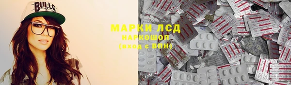 гидра Новозыбков