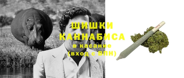 дурь Новодвинск