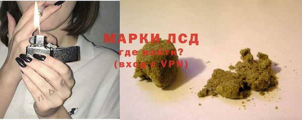 гидра Новозыбков