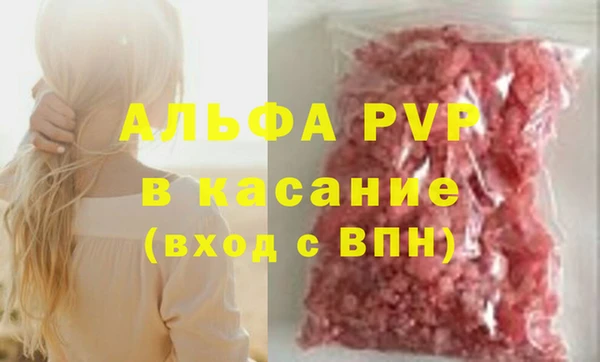 гидра Новозыбков