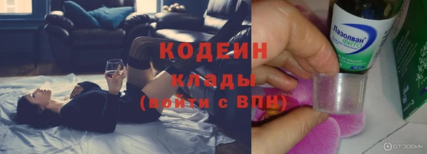 дурь Новодвинск