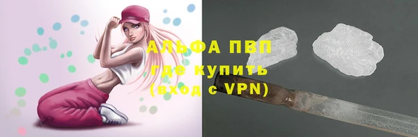 гидра Новозыбков