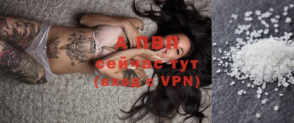 гидра Новозыбков