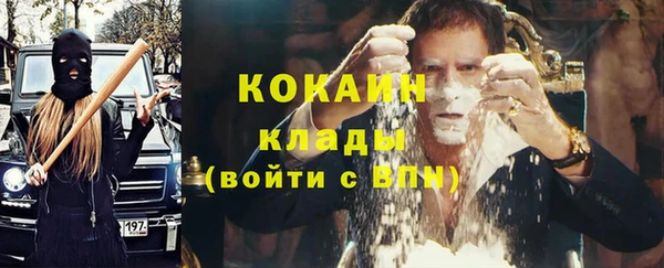дурь Новодвинск
